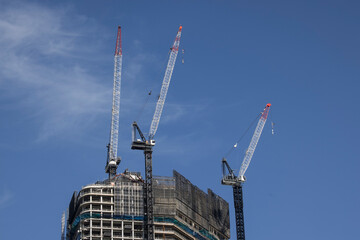 Highrise and cranes in Sydney Australia landscape