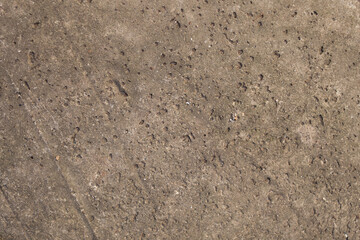 Shell rock limestone texture background. Spongy surface structure of the stone rock shell. Texture coquina stone, close-up. Coquina rock close-up, natural building material.