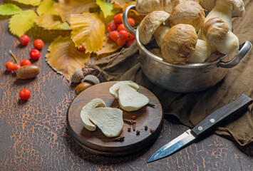 Mushroom Boletus edulis over Wooden Background, close up on wood rustic table. Cooking delicious organic mushroom. Gourmet food