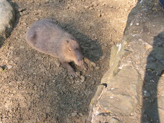 the beautiful nature