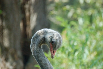 the beautiful nature