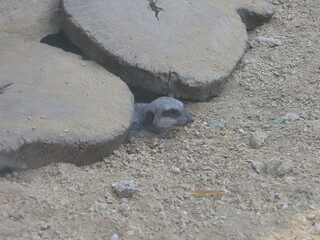 the beautiful nature