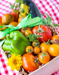 Garden Fresh Vegetables in Basket with Red and White Checkered Cloth