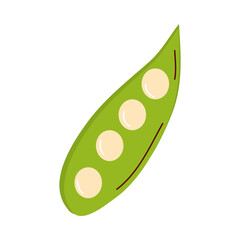 green beans vegetable vector design