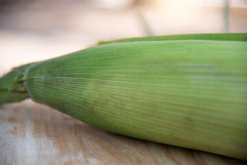 Close up fresh maize.