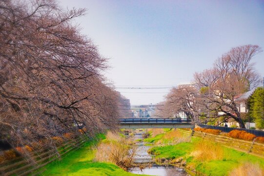 小川