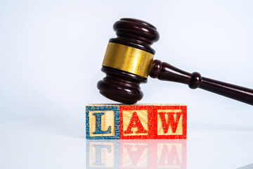 Gavel hammer and money with financial judgement concept.