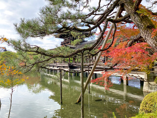 京都