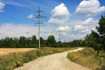 A dirt country road in a field
