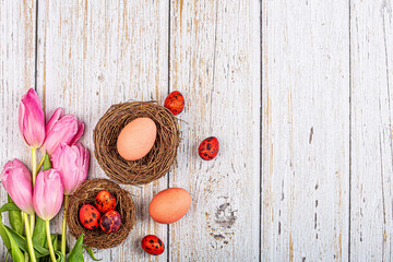 Stylish background with quail red color, easter eggs with copy space for text on white wooden background. Flat lay, top view, mockup, overhead, template