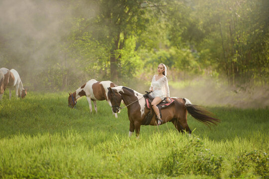 Beautiful asian woman spending a tranquil moment with a horse.Pretty Asian woman petting horse in a farm.