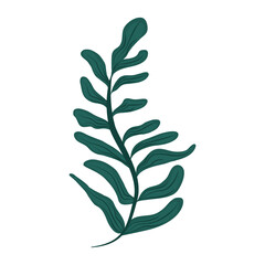 tropical leaf foliage leaves nature icon flat design