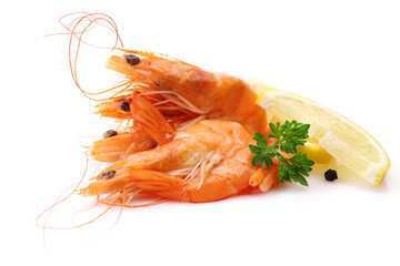 Fresh shrimps on white background