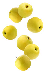 falling  yellow apples isolated on a white background with a clipping path.