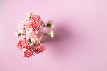 Carnation flowers on pink background