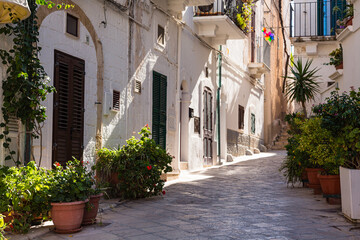 Fototapeta na wymiar イタリア　ポリニャーノ・ア・マーレの旧市街の路地風景