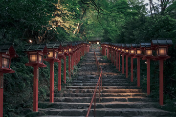 Obraz premium Nightscape in Kyoto Japan