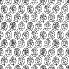 Lemon and lime slices seamless pattern in doodle style. Black and white exotic fruits. Hand drawn tropisian fruits vector illustration on white background