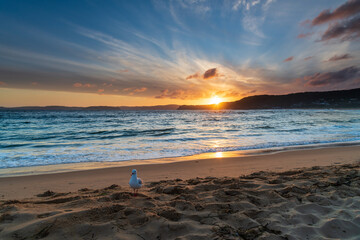 Sunset and clouds at the seaside
