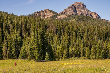view of yellowstone mountains
