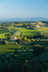 Fototapeta premium イタリア サン・ジミニャーノから見える郊外の丘陵風景