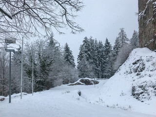 Snowy path in the middle of the forest