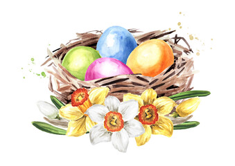 Easter nest with colored eggs and spring flowers. Hand drawn watercolor illustration isolated on white background