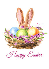 Easter nest with eggs and flowers and rabbit ears. Hand drawn watercolor illustration isolated on white background