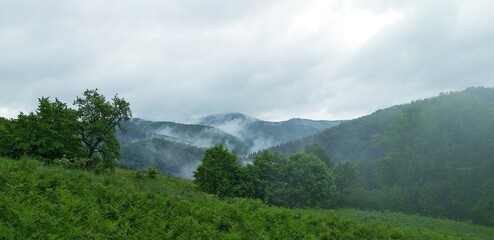 Fototapeta na wymiar Cernegura mountain with fog