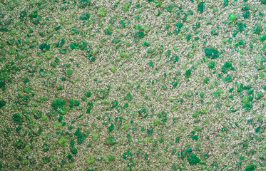 A closeup shot of a textured surface with green details