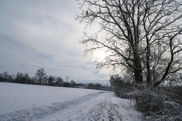 Snow covered fields in a frosty winter morning