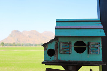 Little wooden house with rice field and mountain