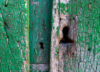 Antique green painted wooden door with lock