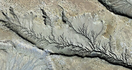fossil life,  United States, abstract photography of relief drawings in fields in the U.S.A. from...