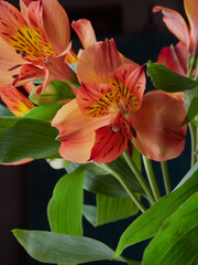Lilia (lat. Lílium) - a genus of plants of the family Liliaceae. Close up of bouquet of beautiful summer blooming of orange lilies. Flowers in vase on wooden table in studio.
