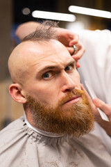 Obraz premium European brutal man with a beard cut in a barbershop