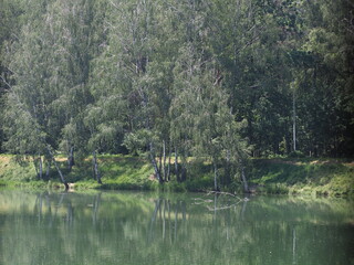 Landscape of trees and breeding pond in Goczalkowice town in Poland