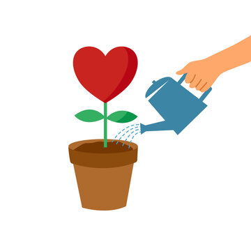 Hand holding watering can watering love plant in pot. Growing love. Design for Valentine’s Day greeting card, poster, banner.
