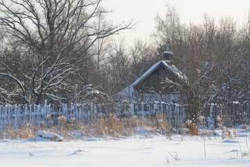 An old-fashioned rustic wooden house and a wooden fence among the trees covered with snow after a snowstorm in winter. Rural winter landscape.