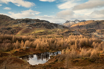 Majestic Winter landscape image view from Holme Fell in Lake District towards snow capped mountain ranges in distance in glorious evening light with Autumnal colors trees