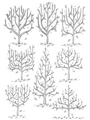 hand drawn side view tree vector set.