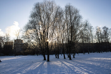 Beautiful sunset in the city. The sun's rays are filtering through the trees. Winter landscape.