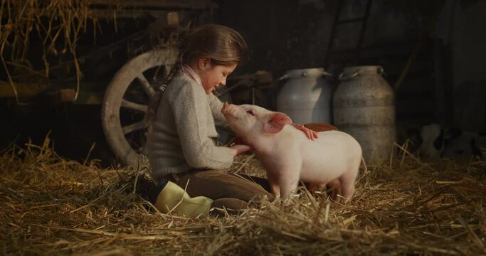 Cinematic shot of happy little girl is caressing with love and care ecologically grown newborn pink piglet used for biological genuine products industry in pigpen of countryside pigs breeding farm.