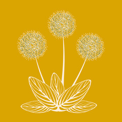 Decorative dandelion flowers light pink with striped leaves on a yellow background. Template for printing on pillows, covers, T-shirts, covers. Vector illustration.