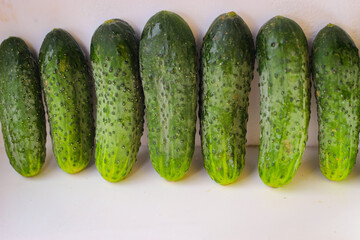 Several green cucumbers are displayed in a row on a white background