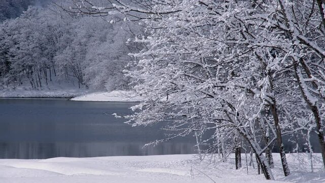 雪景色が美しい青木湖の冬景色