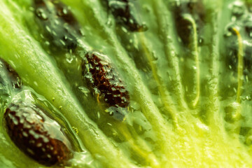 macro shot of a kiwi fruit