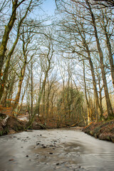 A long exposure of Borsdane Brook, as it flows through Borsdane Local Nature Reserve