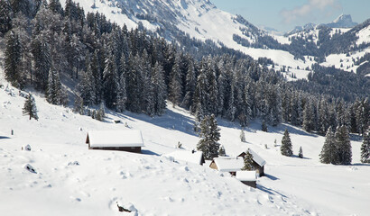 Fototapeta na wymiar Winter in alps (mount Santis)