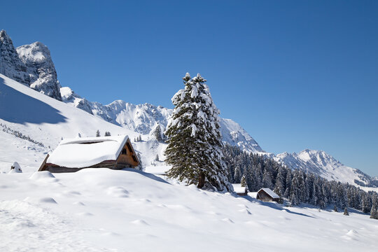 Winter in alps (mount Santis)